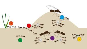 Ant colony illustration showing ant types and behavior, including winged queen, worker ants, and larvae.