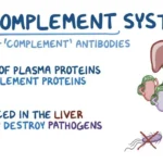 complement system