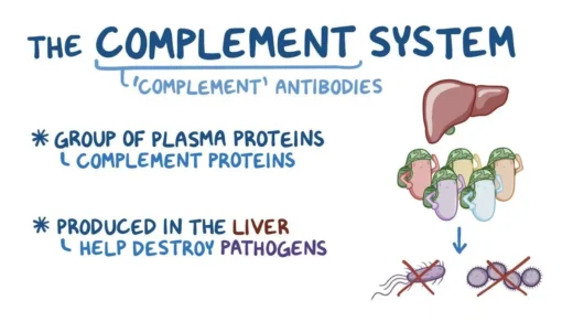 complement system