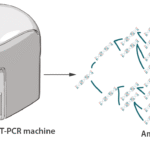 RT-PCR Testing for COVID-19 and Viral Inf