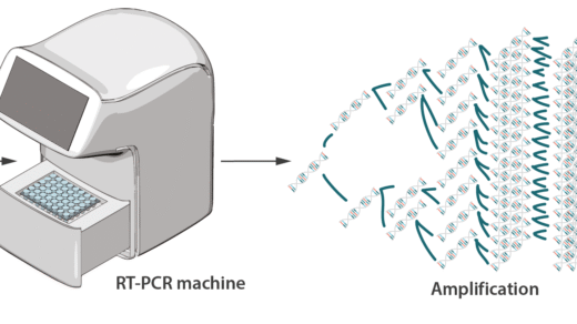 RT-PCR Testing for COVID-19 and Viral Inf