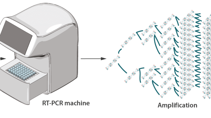RT-PCR Testing for COVID-19 and Viral Inf