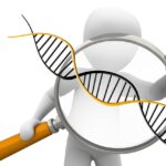 deoxyribonucleic acid, dns, genetics, symbol, biology, research, science, chromosome, spiral, helix, dns, genetics, genetics, genetics, genetics, genetics, chromosome, chromosome, chromosome, chromosome