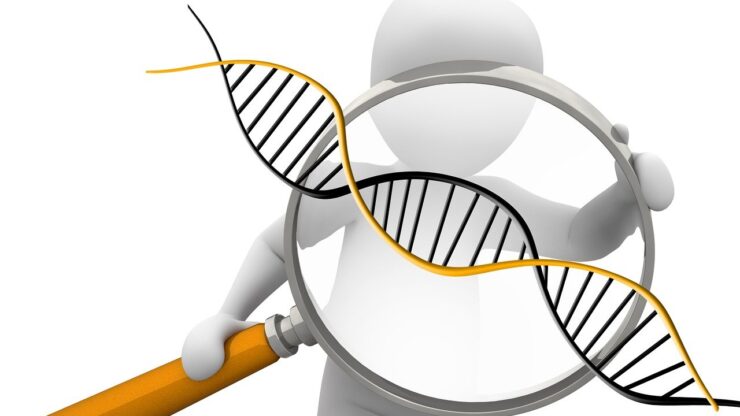 deoxyribonucleic acid, dns, genetics, symbol, biology, research, science, chromosome, spiral, helix, dns, genetics, genetics, genetics, genetics, genetics, chromosome, chromosome, chromosome, chromosome