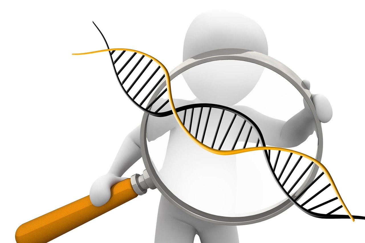 deoxyribonucleic acid, dns, genetics, symbol, biology, research, science, chromosome, spiral, helix, dns, genetics, genetics, genetics, genetics, genetics, chromosome, chromosome, chromosome, chromosome
