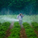 a man walking through a field covered in fog