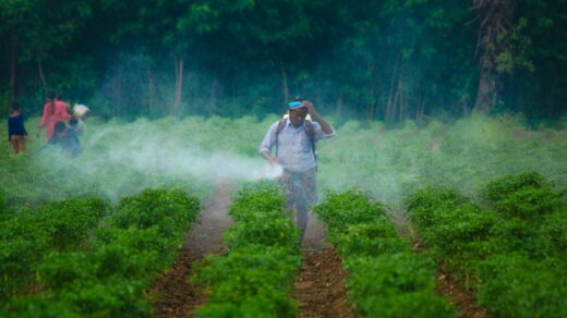 a man walking through a field covered in fog