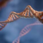 a close up of a structure with a blue background