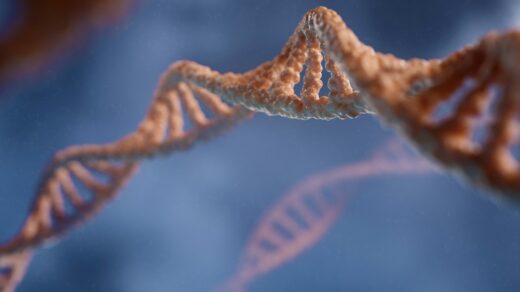 a close up of a structure with a blue background