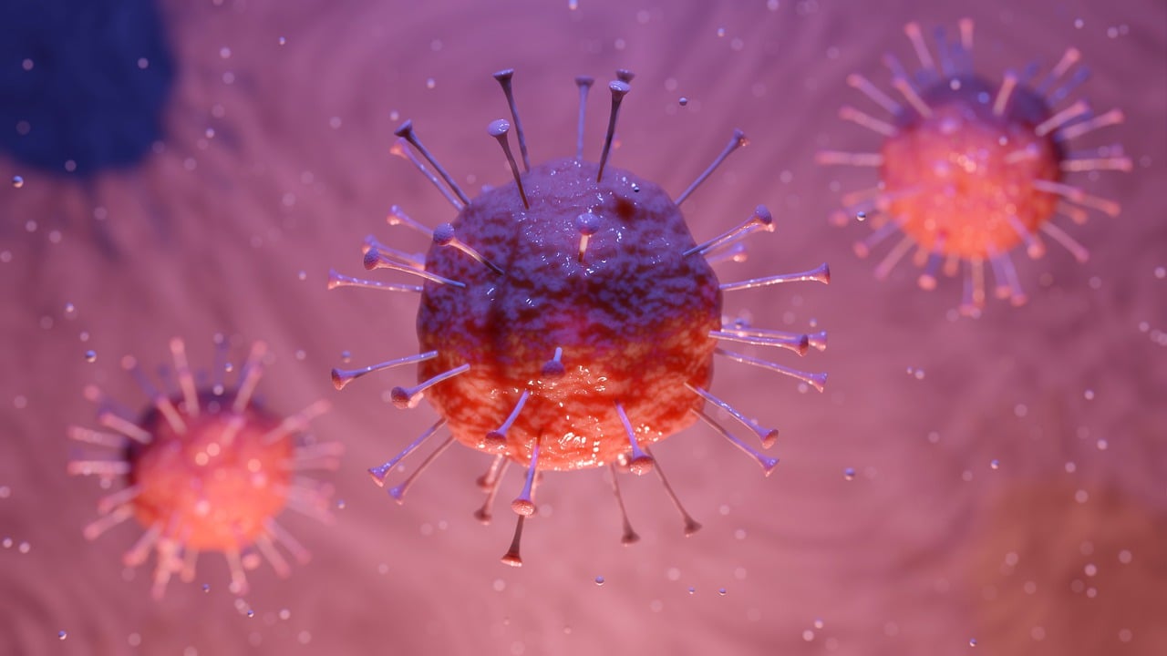 corona, virus, corona virus, covid-19, biology, epidemic, quarantine, medicine, microscope, cough, disease, pink virus, pink medicine, corona, corona, corona, corona, corona, virus, virus, corona virus, corona virus, corona virus, corona virus, cough
