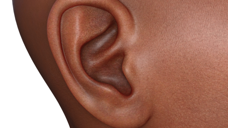 ear, listen, hearing, listening, whisper, sound, ear, ear, hearing, listening, listening, listening, listening, listening, whisper