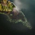 aerial view of green trees on island during daytime