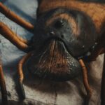 a spider on a web