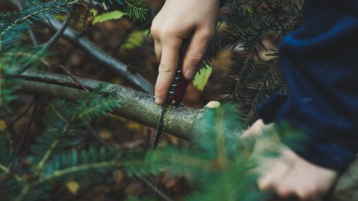 person cutting tree trunks