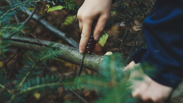 person cutting tree trunks