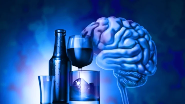 wine affect brain