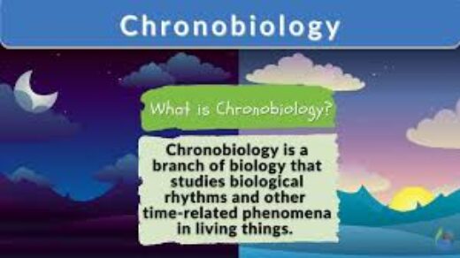 handwritten notes chronobiology