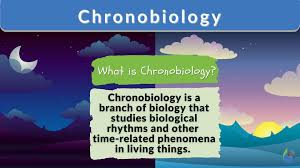 handwritten notes chronobiology