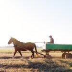 a person riding a horse carriage