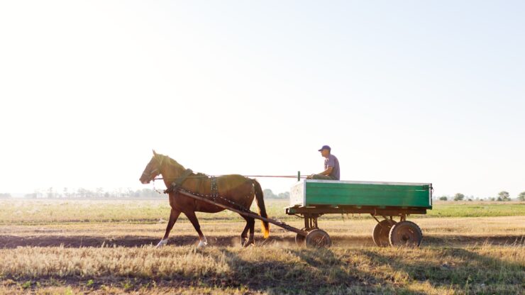 a person riding a horse carriage