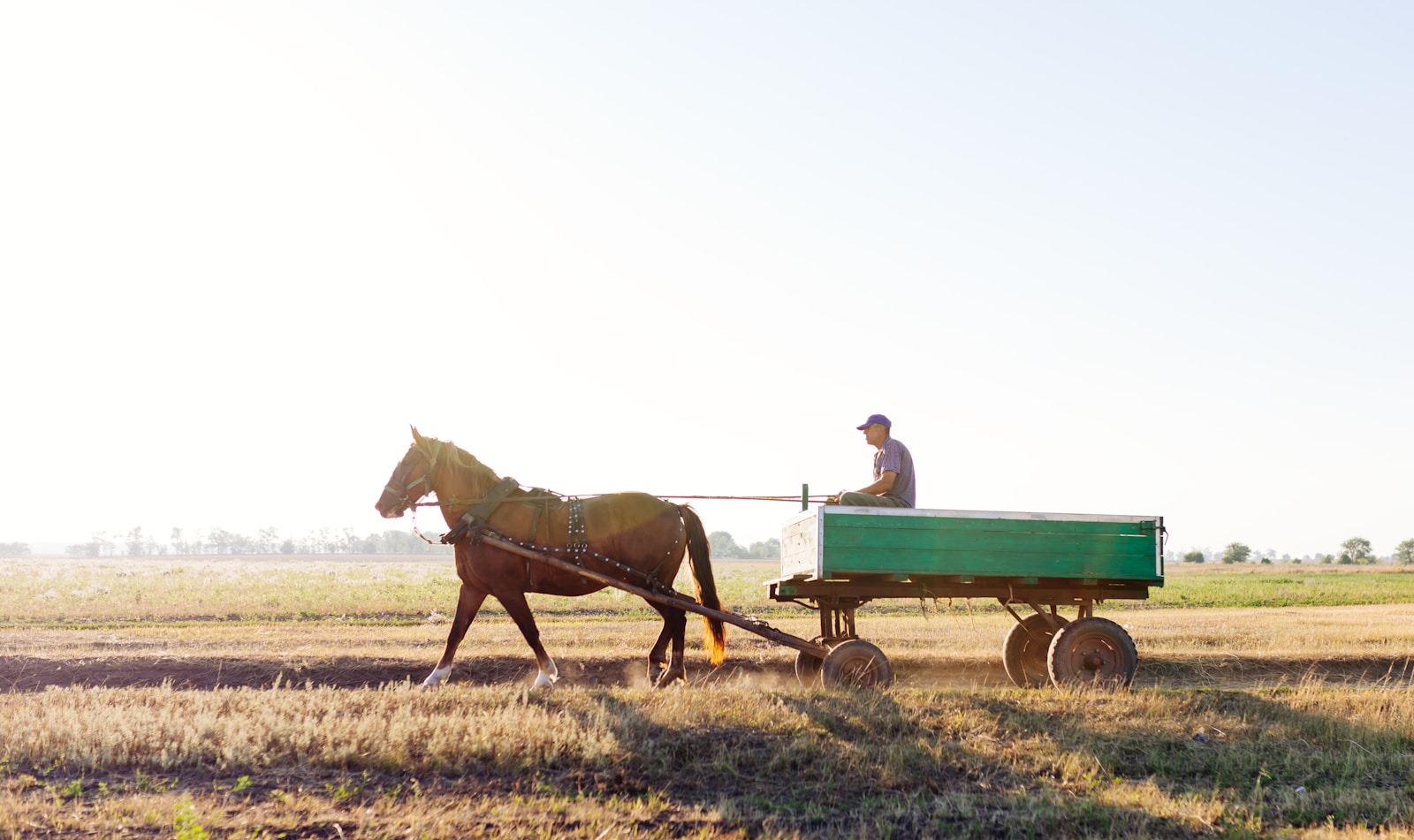 a person riding a horse carriage