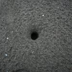 A black hole in the middle of the ground