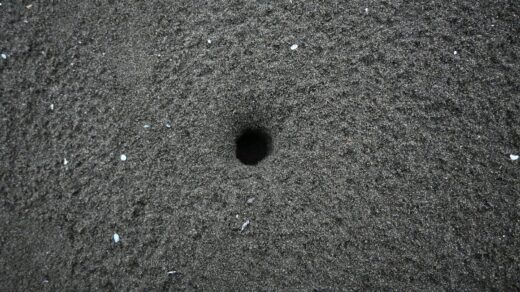 A black hole in the middle of the ground
