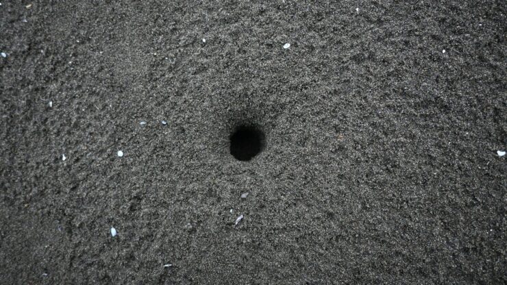 A black hole in the middle of the ground