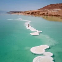 salt-crystals-on-surface-dead