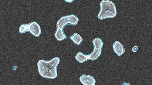 microplastics-in-bones