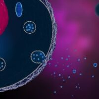 exosomes-image