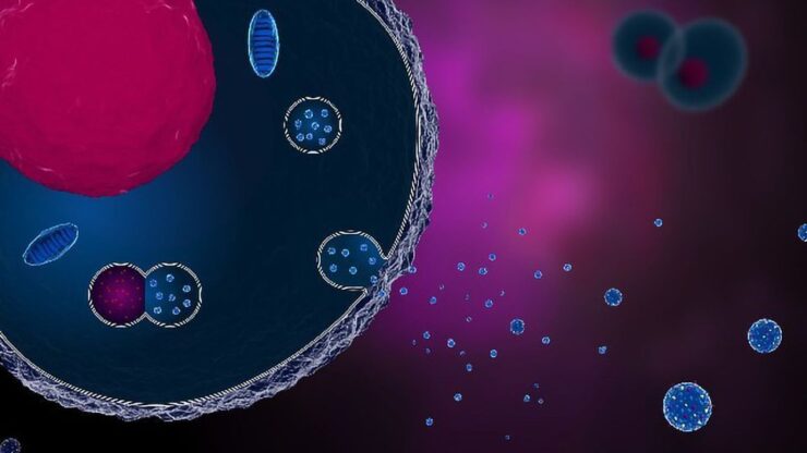 exosomes-image