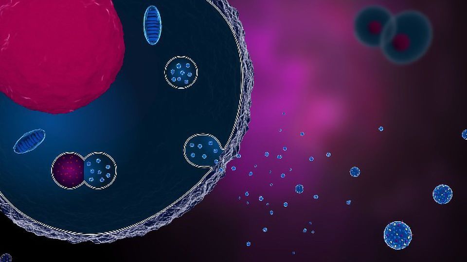 exosomes-image