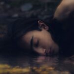 white short coated dog lying on water