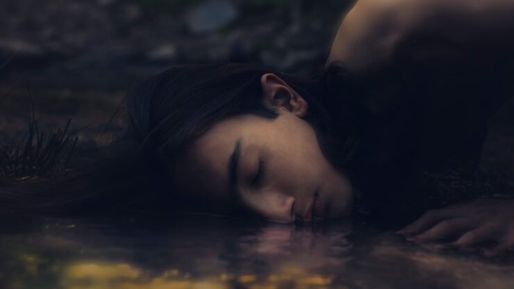 white short coated dog lying on water