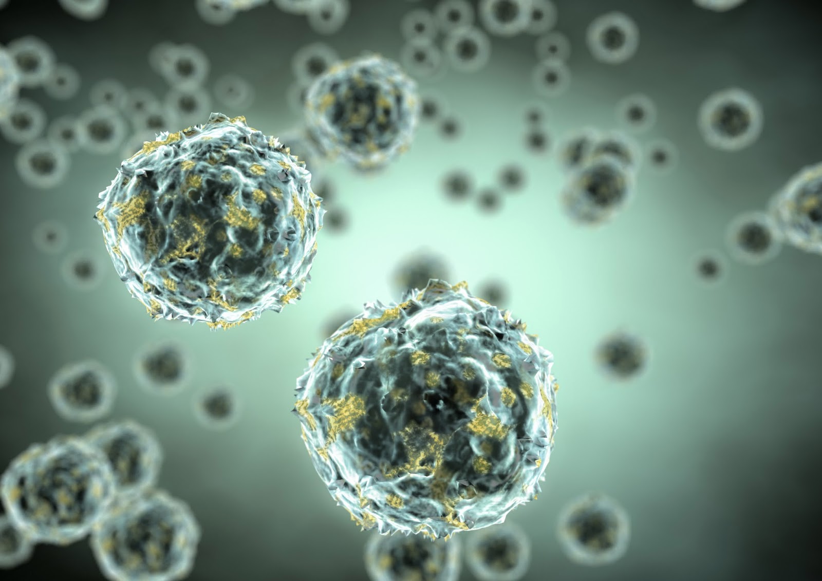 72-Hour Fasting Can Reset Your Entire Immune System, USC Study Shows
