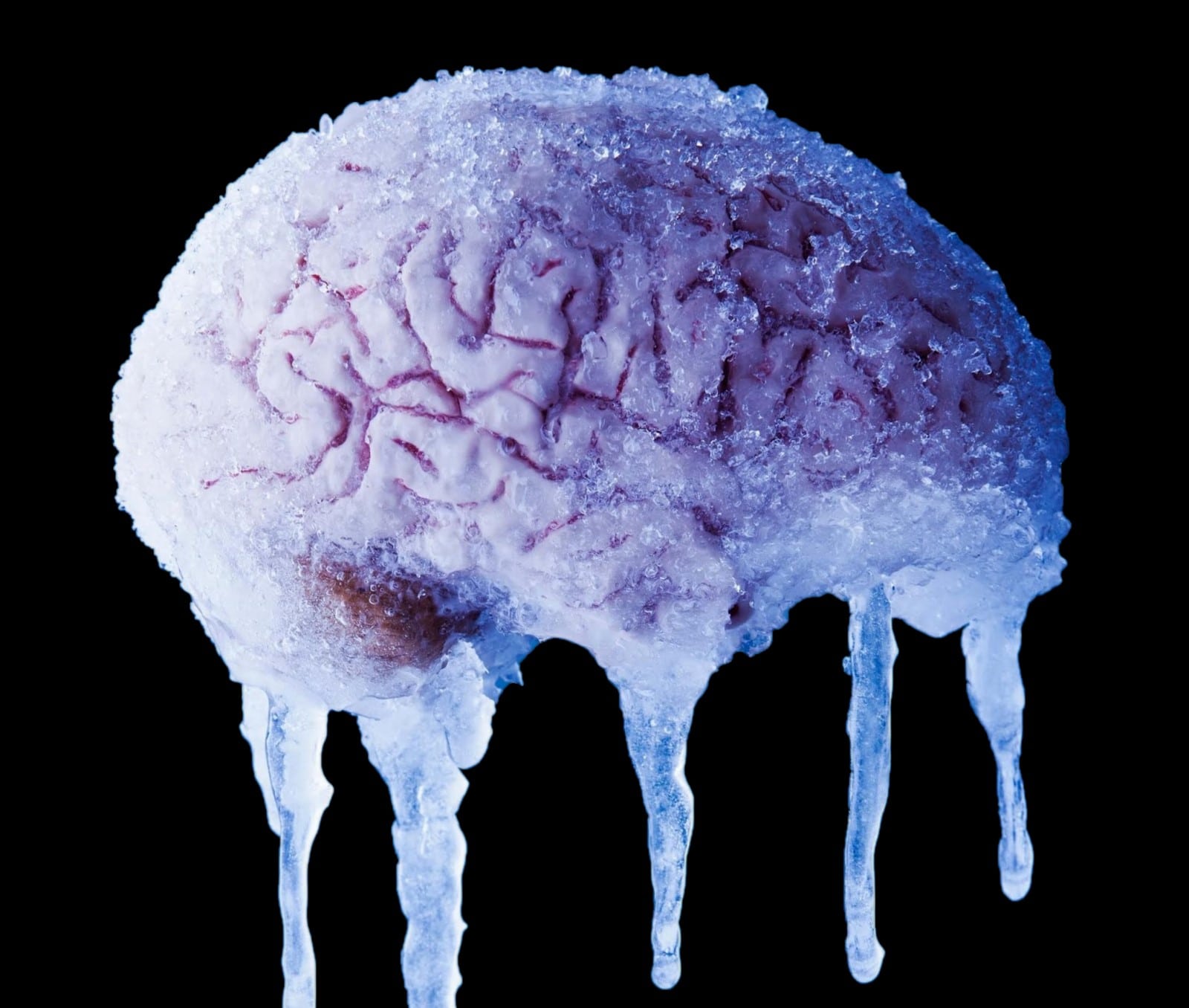 Frozen brain tissue brought back to life