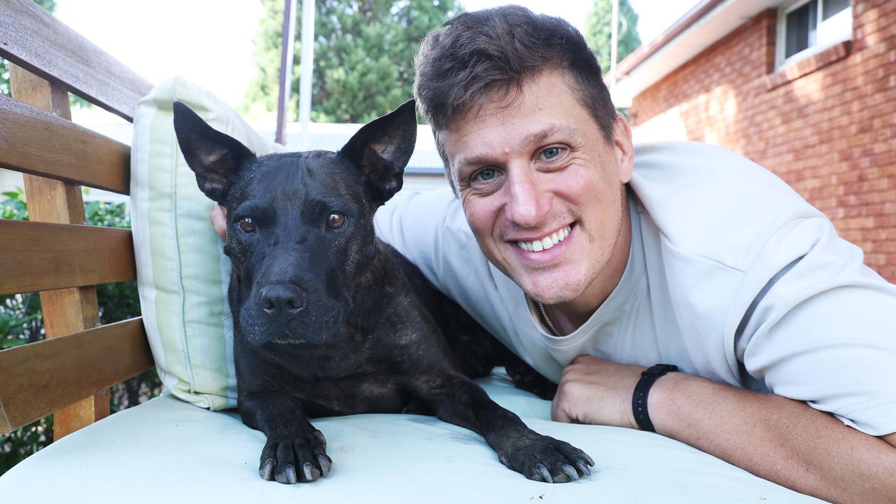 Australian entrepreneur cures his dog’s cancer by uploading its DNA to ChatGPT to design a custom vaccine from scratch