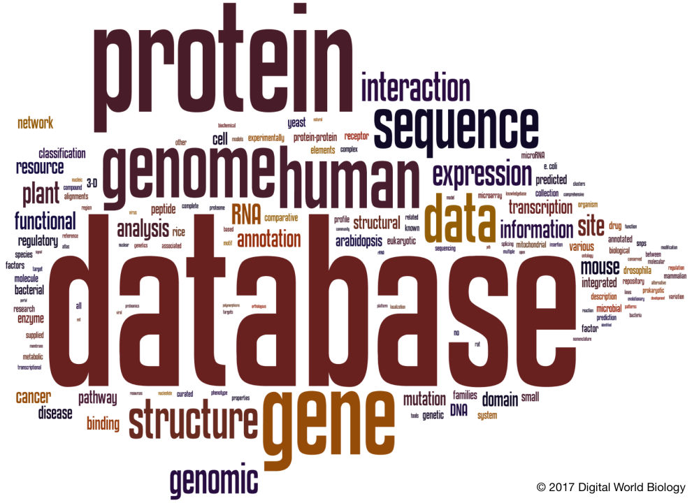 Unit 2 - Biological Database Management (804) (IMSC BIOINFORMATICS) Full Notes