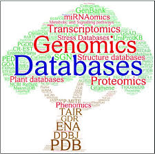 Unit 3 - Biological Database Management (804) (IMSC BIOINFORMATICS) Full Notes