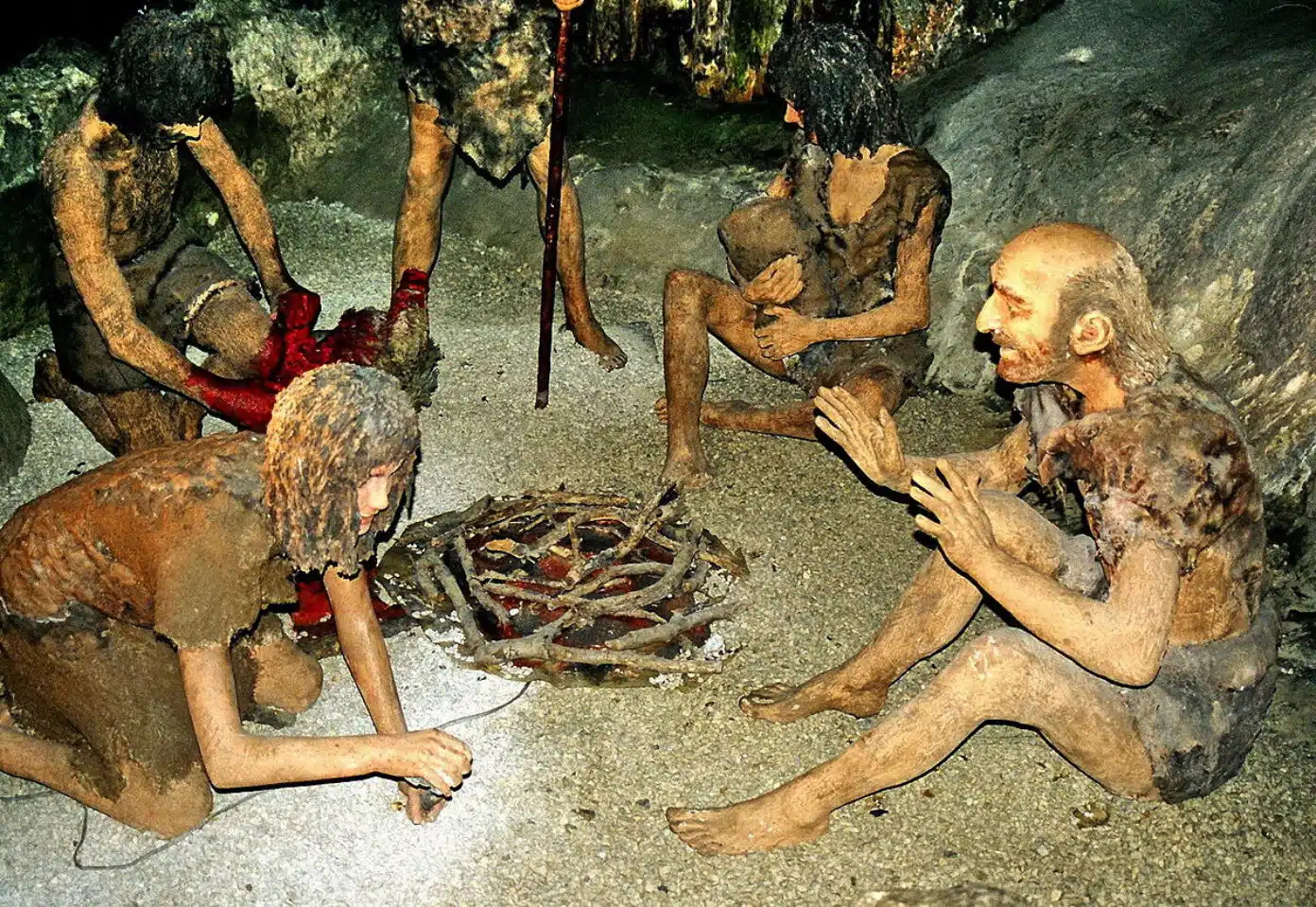 Europe’s Late Neanderthals Traced to a Single Population in Southwestern France