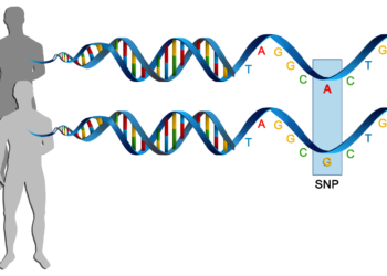SNPs Can Be Associated with Genetic Disorders