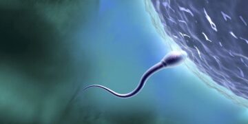 Childhood Trauma Leaves Distinct Marks on Fathers’ Sperm, Study Shows