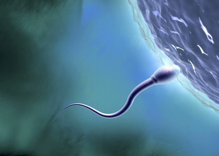 Childhood Trauma Leaves Distinct Marks on Fathers’ Sperm, Study Shows