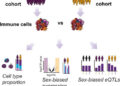 Single-Cell Study of Over a Million Immune Cells Reveals Why Women Are More Prone to Autoimmune Disease