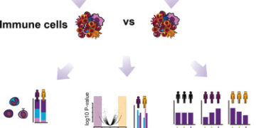 Single-Cell Study of Over a Million Immune Cells Reveals Why Women Are More Prone to Autoimmune Disease