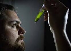 Scientists Created a New Chikungunya Vaccine That Stops the Virus From Fully Spreading in the Body
