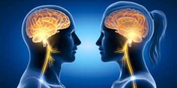 A new study has found that men’s brains shrink faster than women’s as they age.