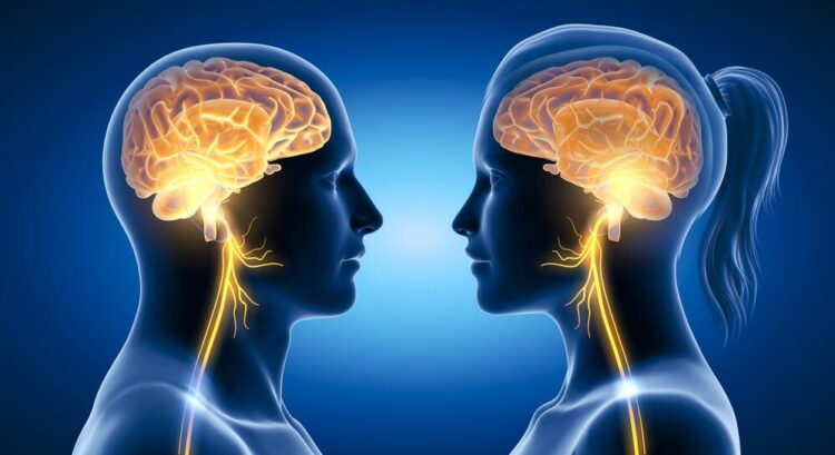 A new study has found that men’s brains shrink faster than women’s as they age.